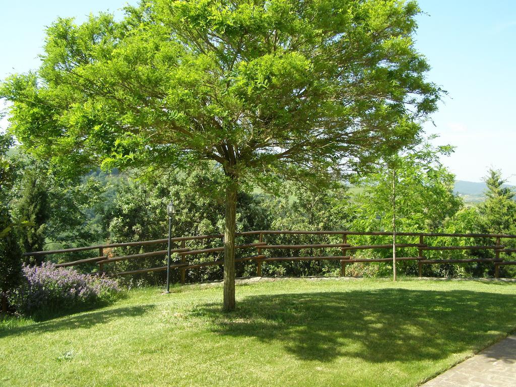 Agriturismo Collesassi Montalcino Exterior foto